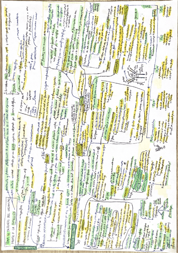 Miniatura del documento Tema-18-Defensas-del-organismo-frente-a-la-infeccion.pdf