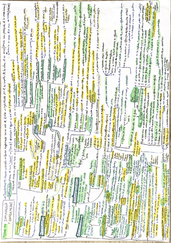 Miniatura del documento Tema-19-Inmunologia-y-enfermedad.pdf