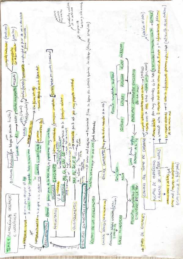Miniatura del documento Temas-1-al-10-bio.pdf