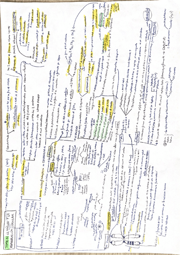 Miniatura del documento Temas-11-al-19-bio.pdf