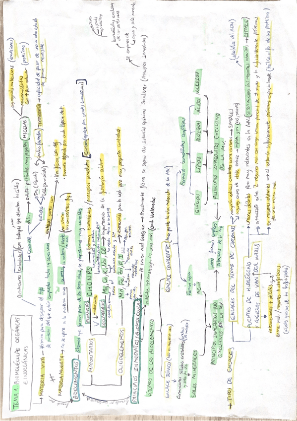 Miniatura del documento Bloque-1-Las-biomoleculas.pdf