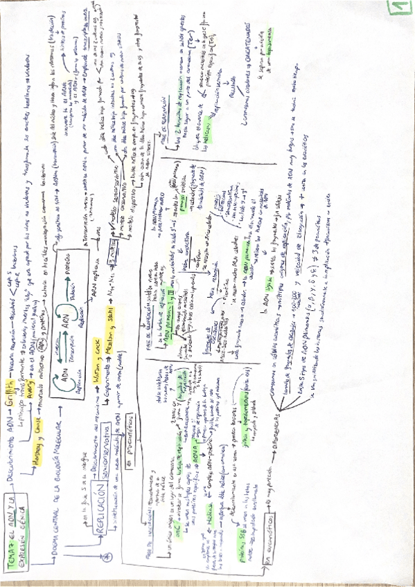 Miniatura del documento Bloque-2-Genetica-molecular.pdf