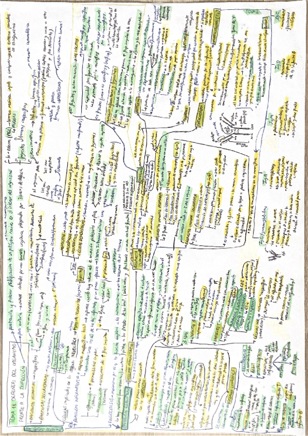 Miniatura del documento Bloque-6-Inmunologia.pdf
