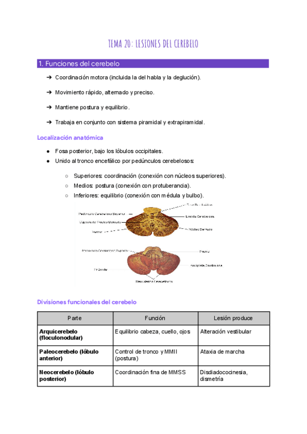 Miniatura del documento TEMA-20-LESIONES-DEL-CEREBELO.pdf