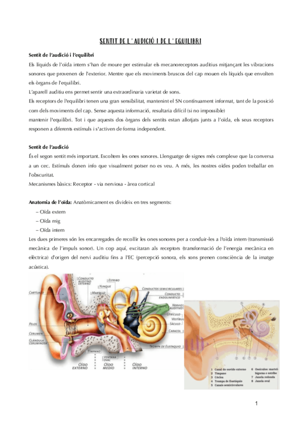 Miniatura del documento TEMA-14.pdf