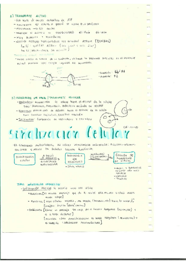 Miniatura del documento Escaner20250504-8.pdf