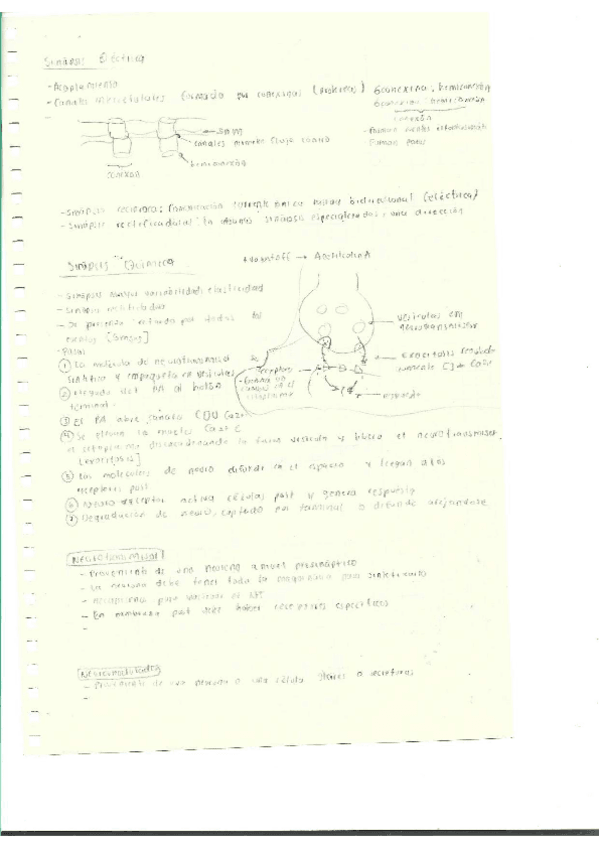 Miniatura del documento Escaner20250504-17.pdf