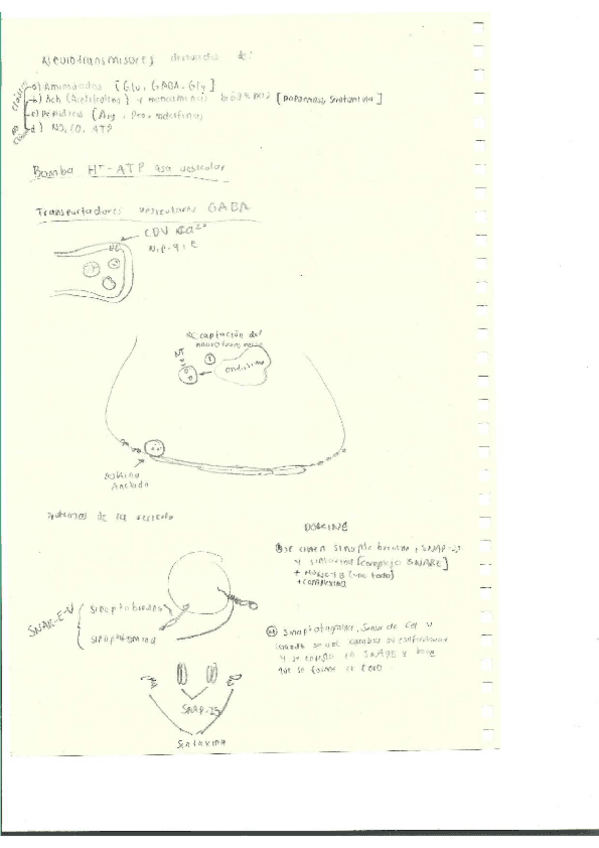 Miniatura del documento Escaner20250504-18.pdf
