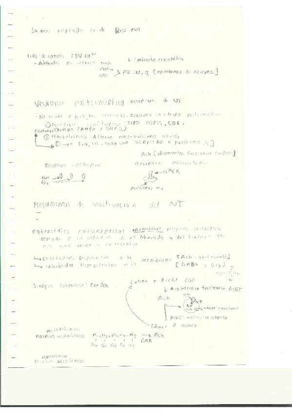 Miniatura del documento Escaner20250504-19.pdf