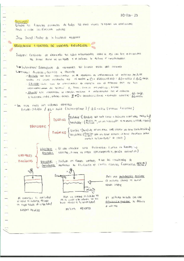 Miniatura del documento Escaner20250504.pdf