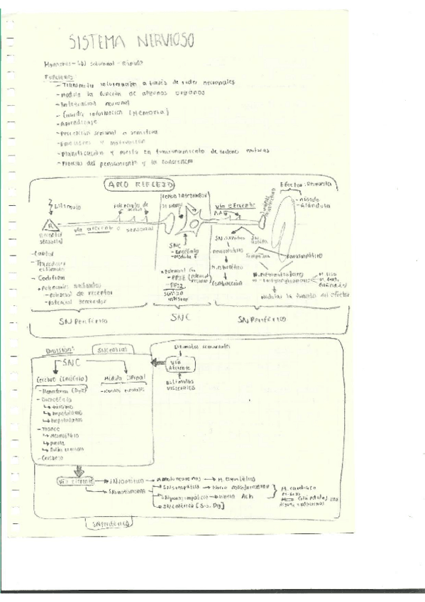 Miniatura del documento Escaner20250504-23.pdf
