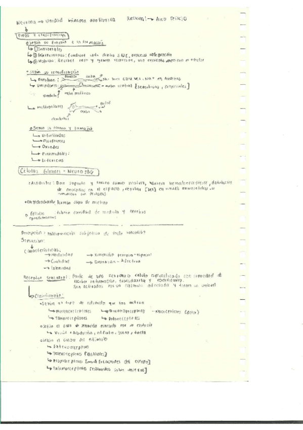 Miniatura del documento Escaner20250504-24.pdf