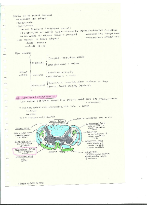 Miniatura del documento Escaner20250504-25.pdf