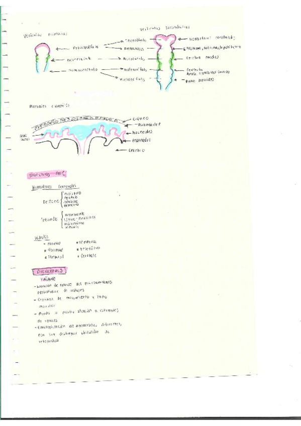 Miniatura del documento Escaner20250504-26.pdf