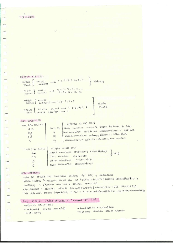 Miniatura del documento Escaner20250504-27.pdf