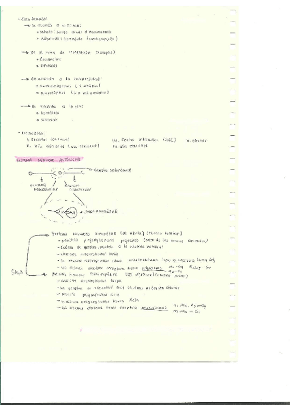 Miniatura del documento Escaner20250504-28.pdf