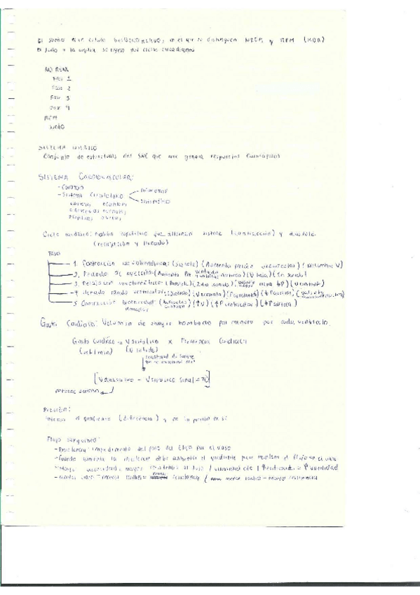 Miniatura del documento Escaner20250504-29.pdf