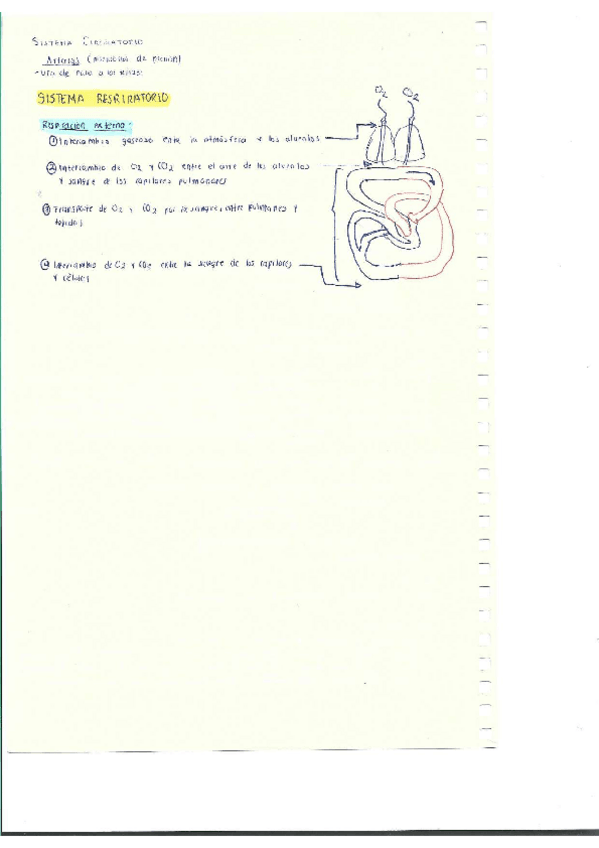 Miniatura del documento Escaner20250504-30.pdf