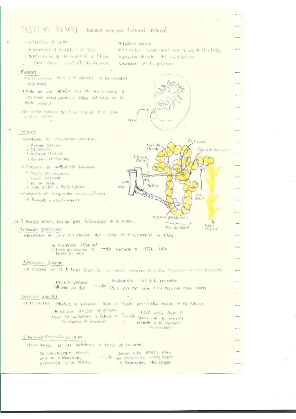 Miniatura del documento Escaner20250504-31.pdf