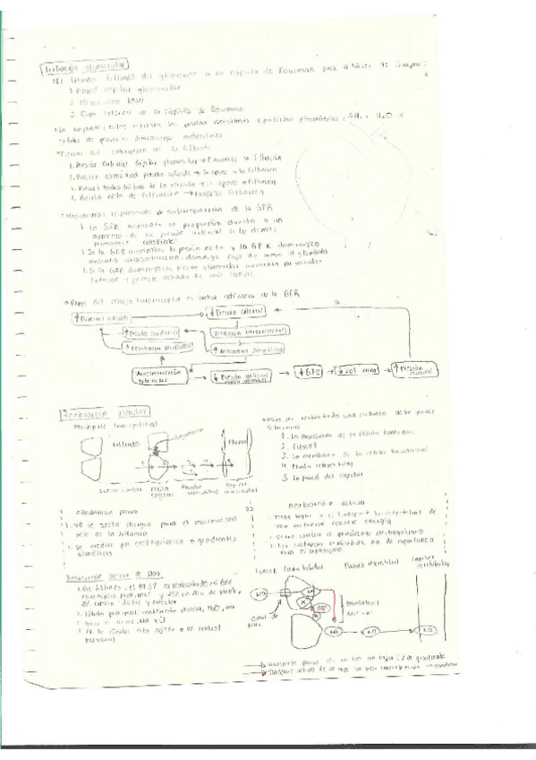 Miniatura del documento Escaner20250504-32.pdf