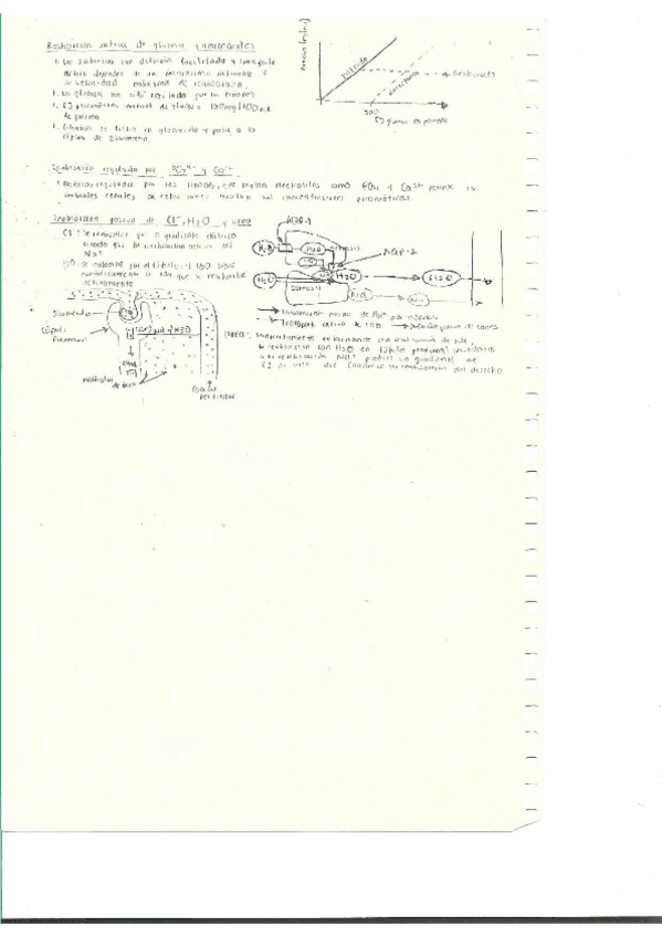 Miniatura del documento Escaner20250504-33.pdf