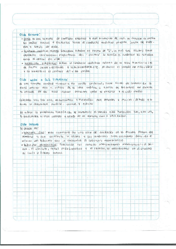 Miniatura del documento Escaner20250504-38.pdf