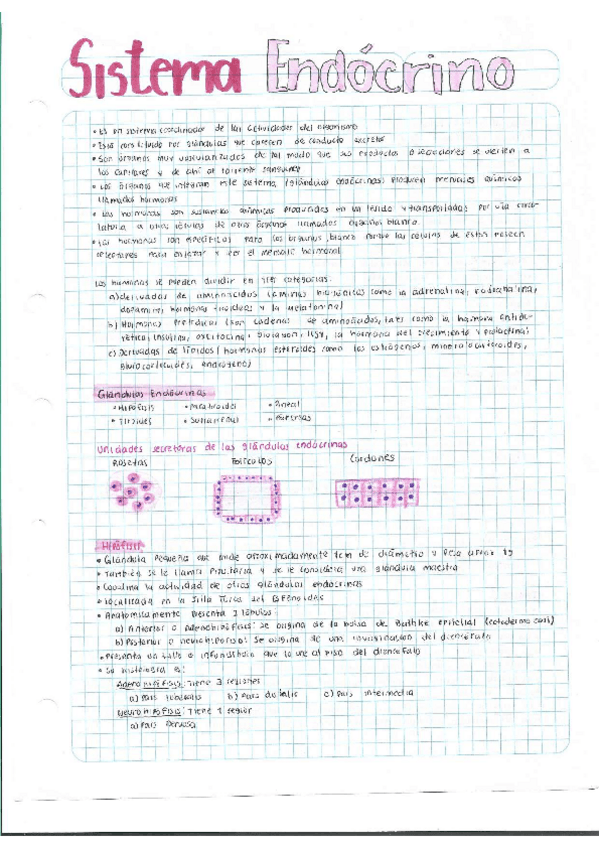 Miniatura del documento Escaner20250504-39.pdf