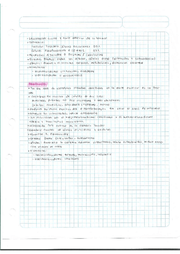 Miniatura del documento Escaner20250504-41.pdf