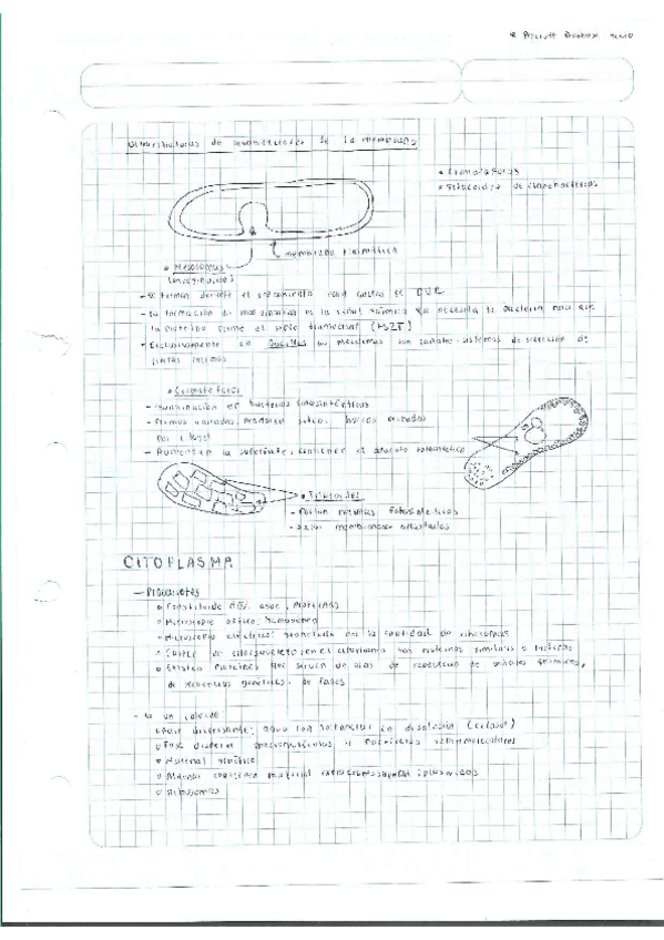 Miniatura del documento Escaner20250504-21.pdf