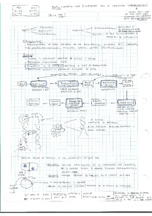 Miniatura del documento Escaner20250504-22.pdf