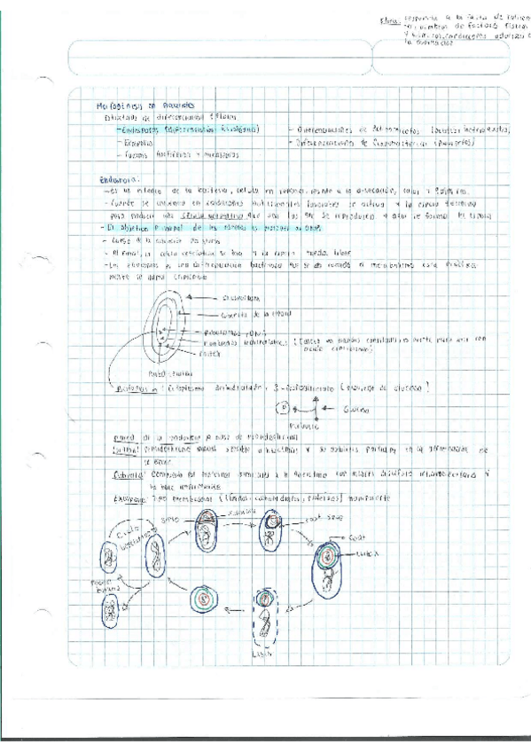Miniatura del documento Escaner20250504-23.pdf