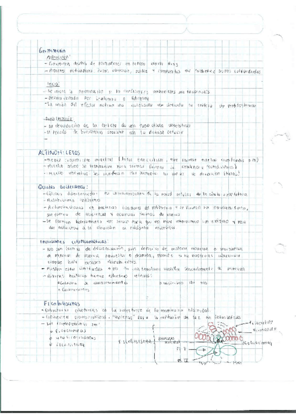 Miniatura del documento Escaner20250504-24.pdf