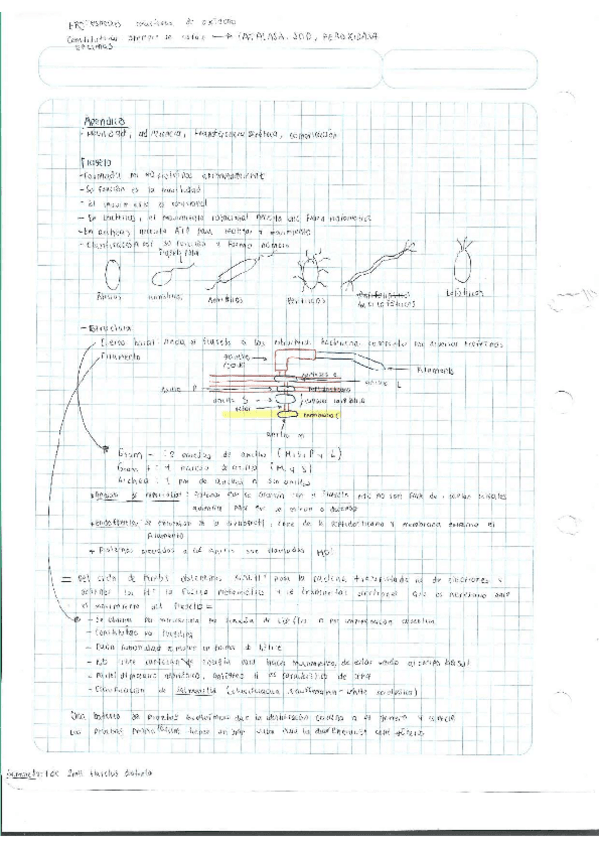 Miniatura del documento Escaner20250504-26.pdf