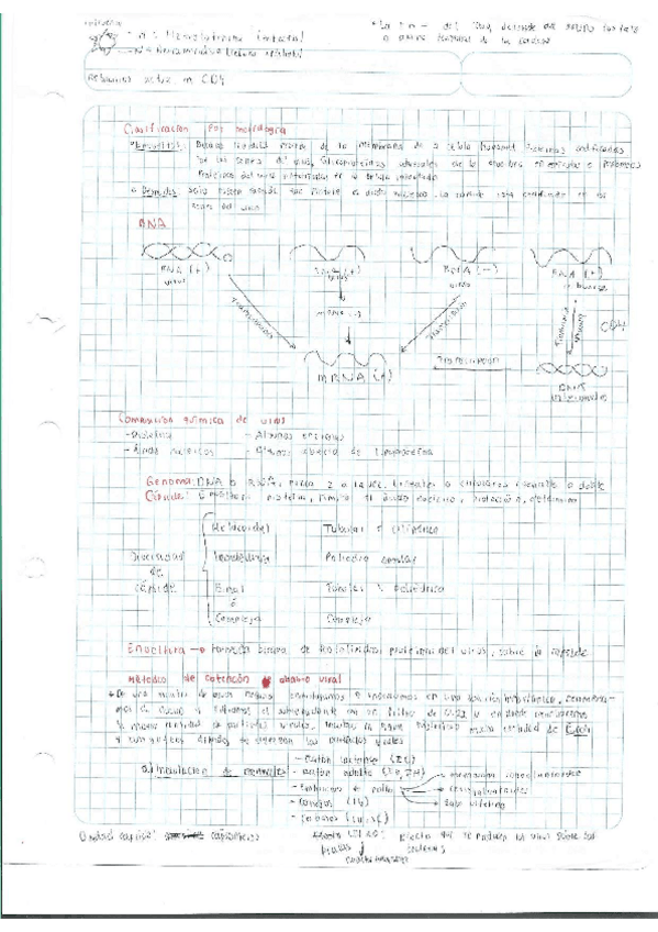 Miniatura del documento Escaner20250504-29.pdf