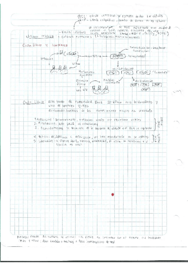 Miniatura del documento Escaner20250504-30.pdf