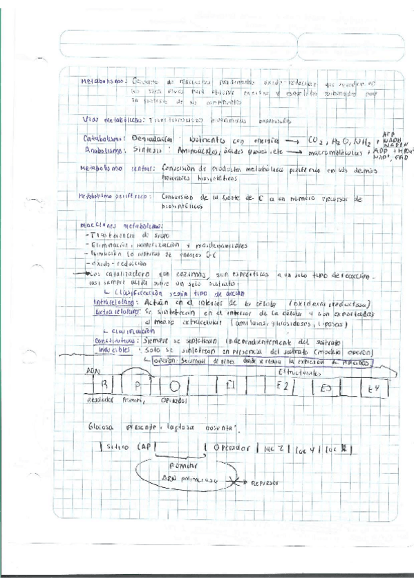 Miniatura del documento Escaner20250504-31.pdf