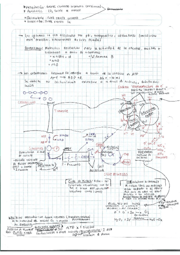 Miniatura del documento Escaner20250504-32.pdf