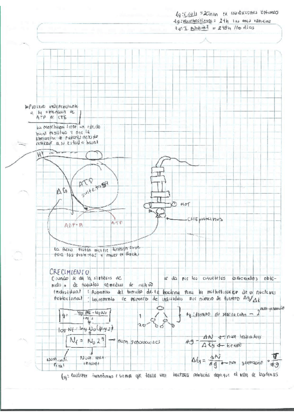 Miniatura del documento Escaner20250504-33.pdf