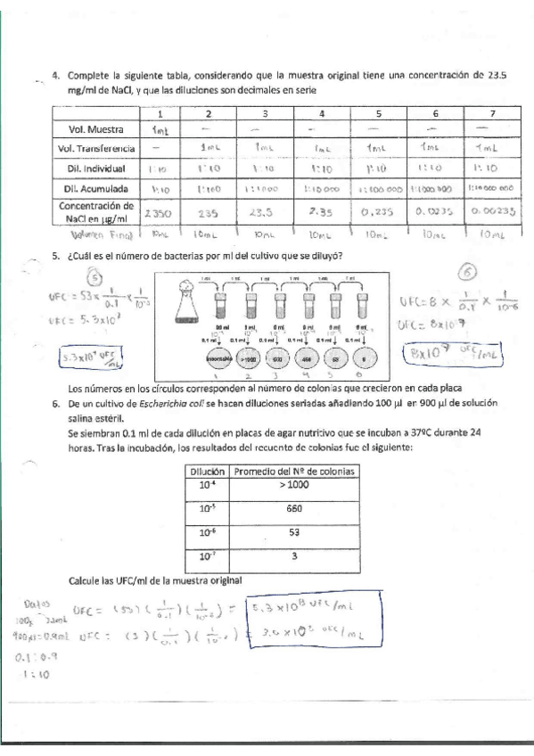 Miniatura del documento Escaner20250504-40.pdf