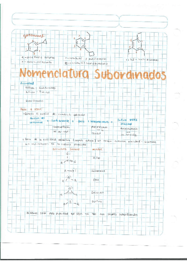Miniatura del documento Escaner20250504-8.pdf