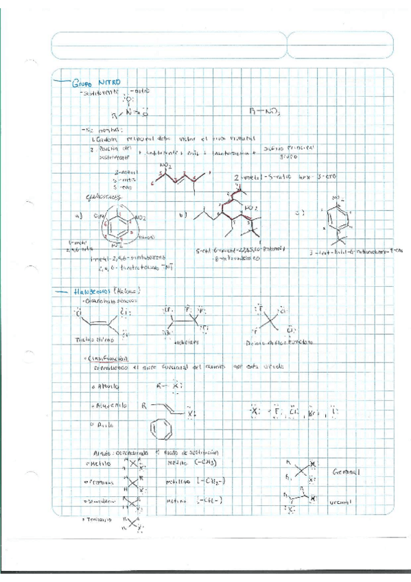 Miniatura del documento Escaner20250504-9.pdf