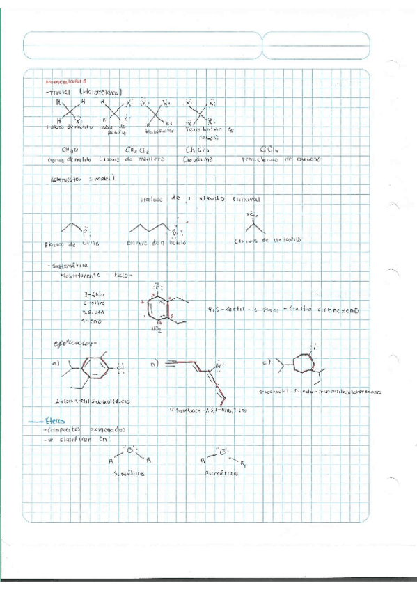 Miniatura del documento Escaner20250504-10.pdf