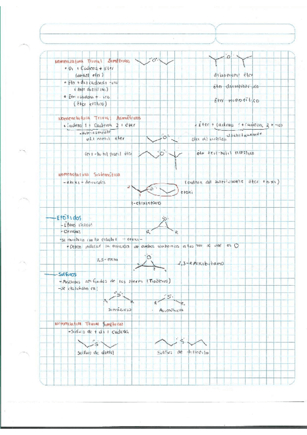 Miniatura del documento Escaner20250504-11.pdf