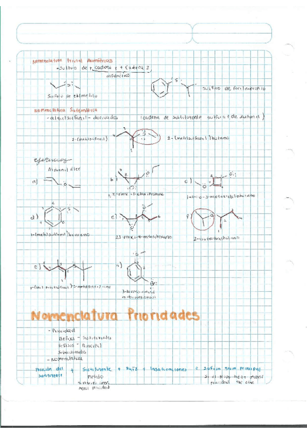 Miniatura del documento Escaner20250504-12.pdf