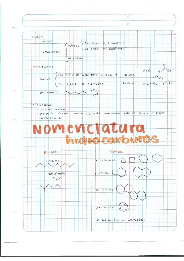 Miniatura del documento Escaner20250504.pdf