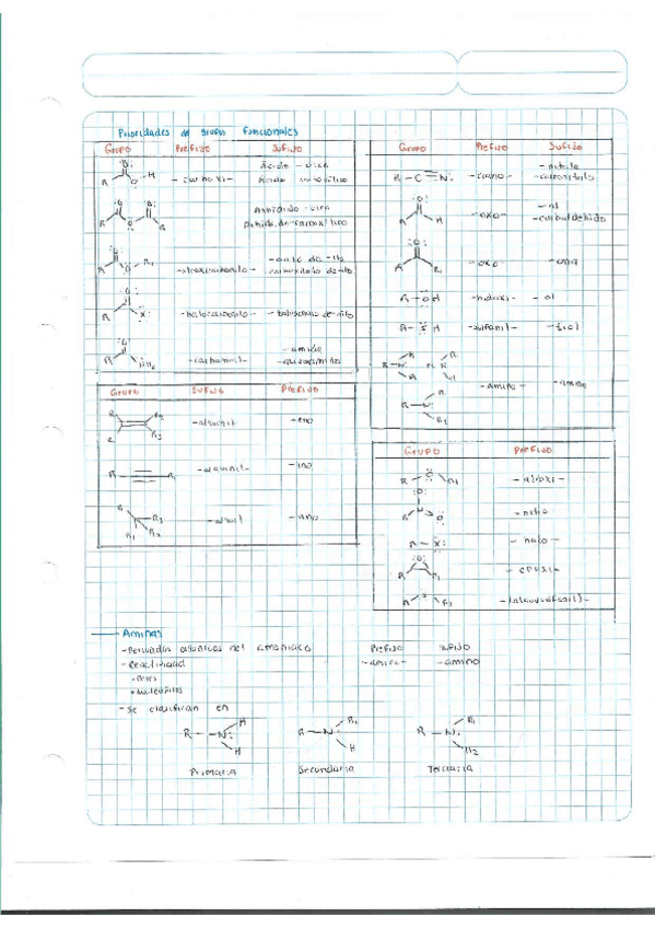 Miniatura del documento Escaner20250504-13.pdf