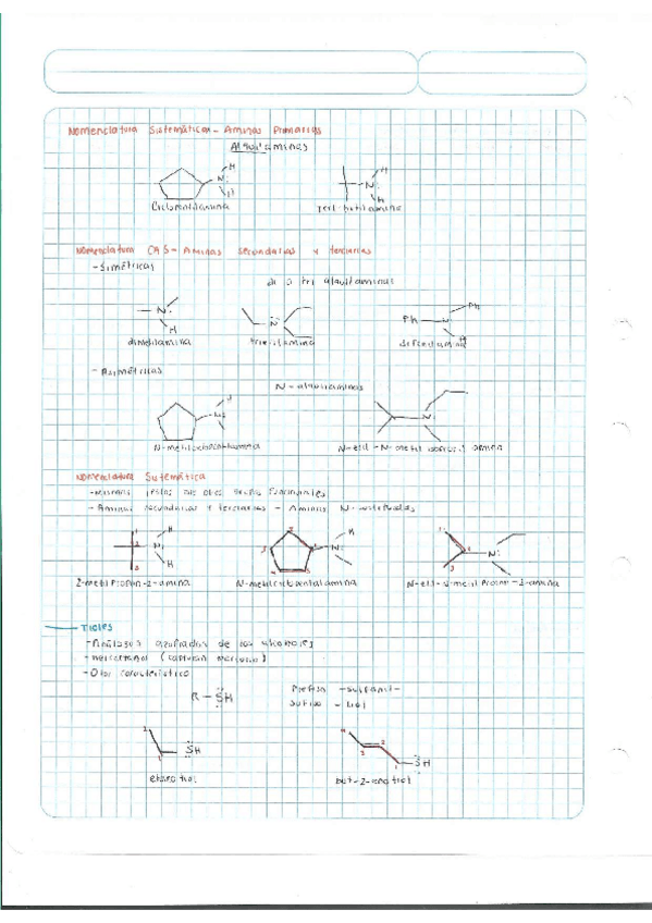 Miniatura del documento Escaner20250504-14.pdf