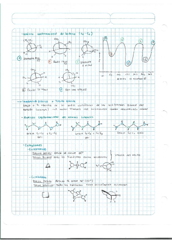 Miniatura del documento Escaner20250504-32.pdf