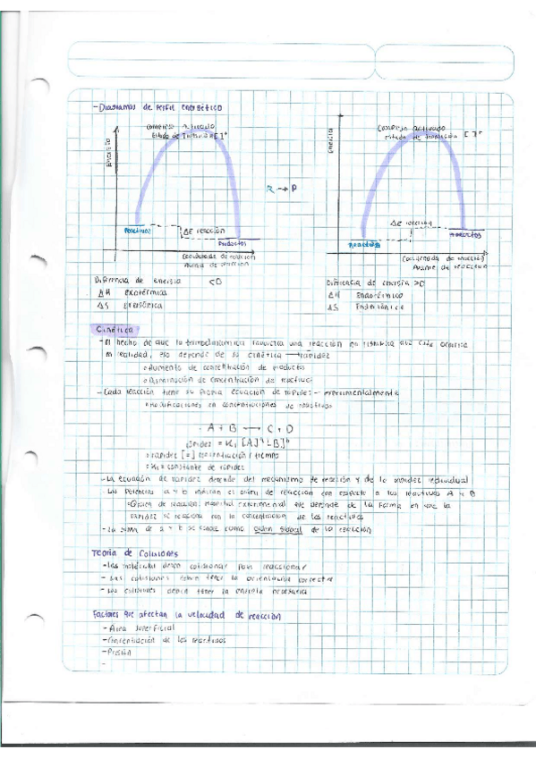 Miniatura del documento Escaner20250504-35.pdf
