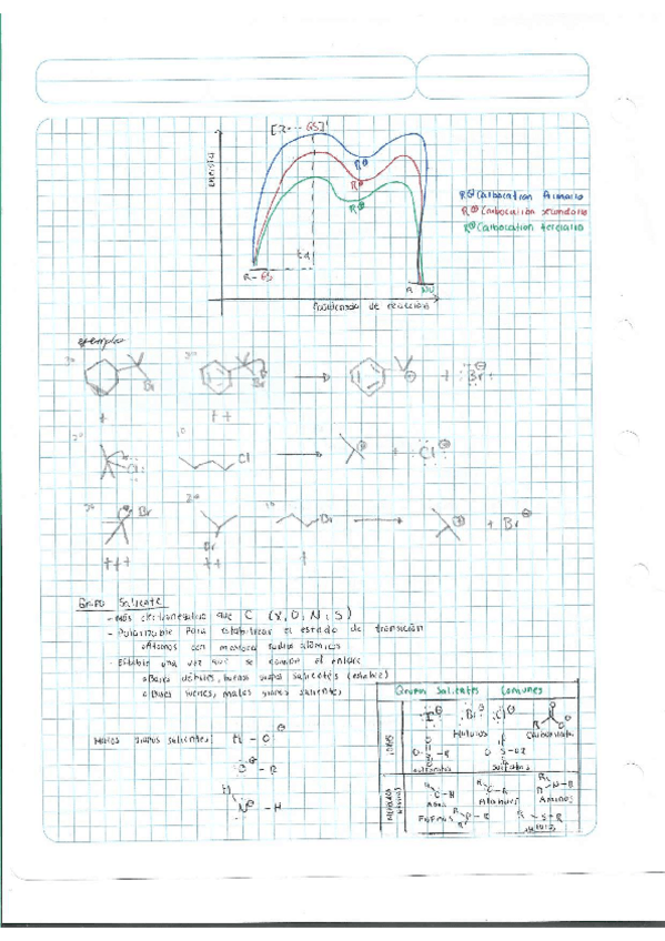 Miniatura del documento Escaner20250504-42.pdf